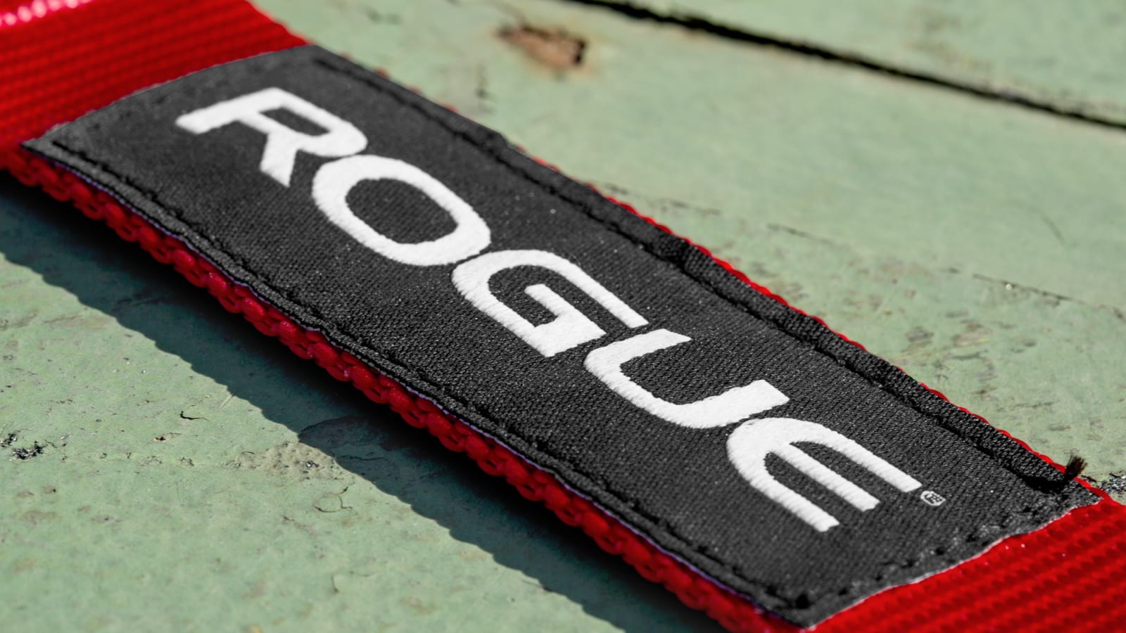 Rogue fitness dog collar discount